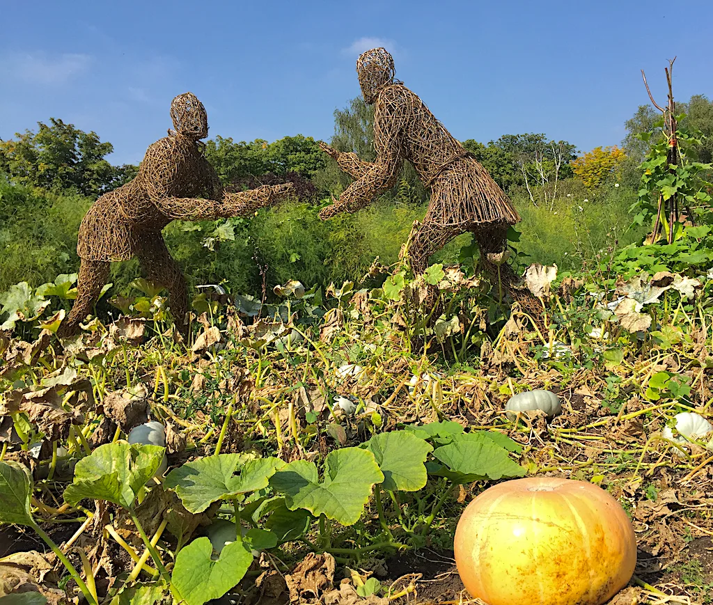 Staines Halloween: Free Market Disco Sat 31 Oct, Pumpkins